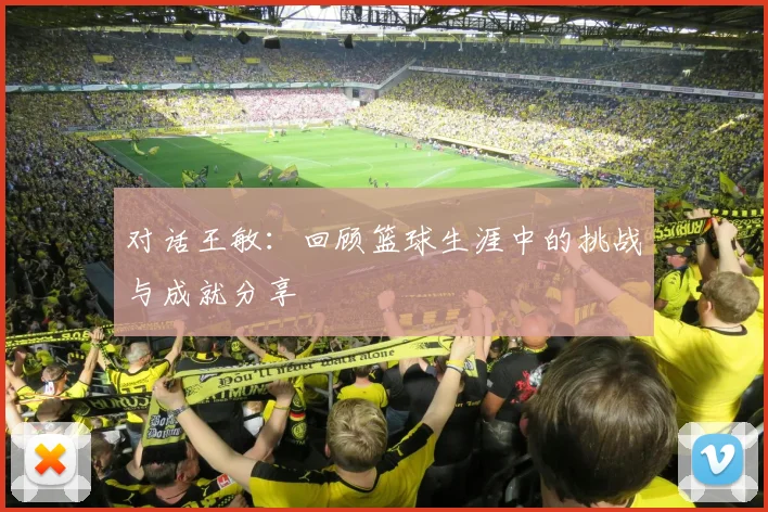 对话王敏：回顾篮球生涯中的挑战与成就分享