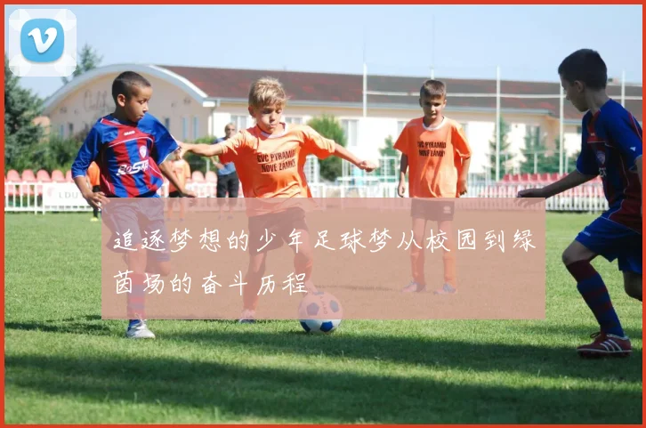 追逐梦想的少年足球梦从校园到绿茵场的奋斗历程