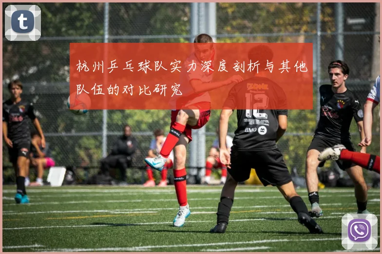 杭州乒乓球队实力深度剖析与其他队伍的对比研究