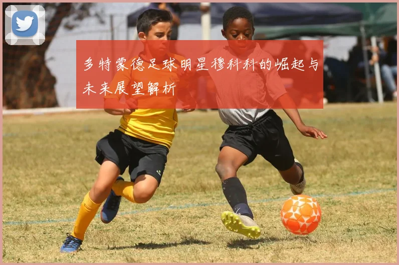 多特蒙德足球明星穆科科的崛起与未来展望解析
