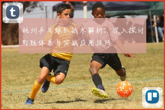 杭州乒乓球队战术解析：深入探讨盯防体系与实战应用技巧