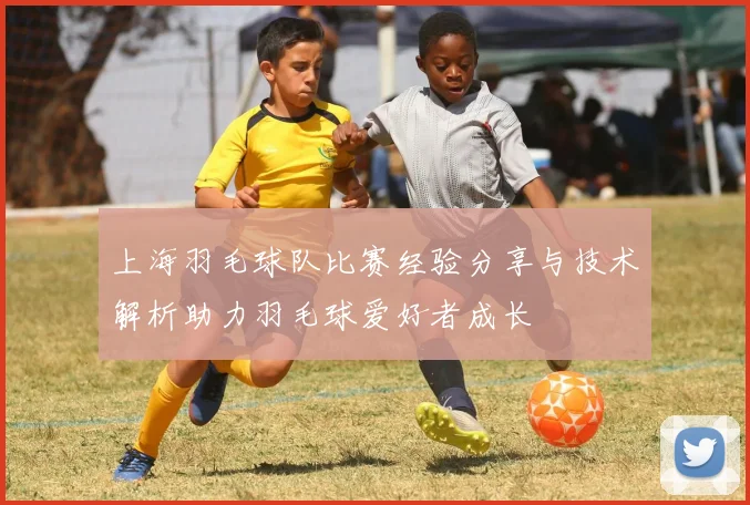 上海羽毛球队比赛经验分享与技术解析助力羽毛球爱好者成长