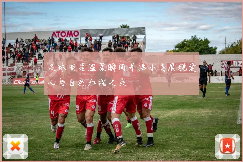 足球明星温柔瞬间手捧小鸟展现爱心与自然和谐之美