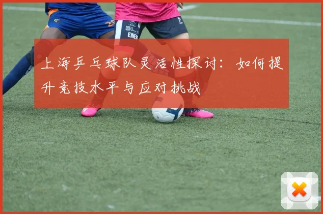 上海乒乓球队灵活性探讨：如何提升竞技水平与应对挑战